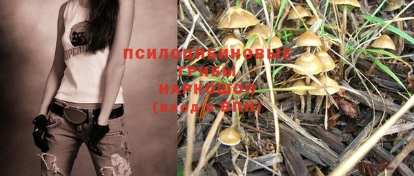 шишки Зеленокумск
