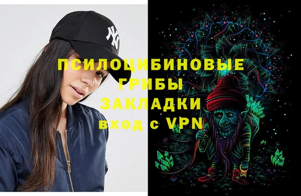 шишки Зеленокумск