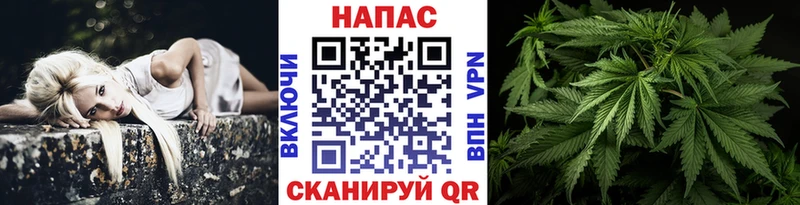 Каннабис OG Kush Касли